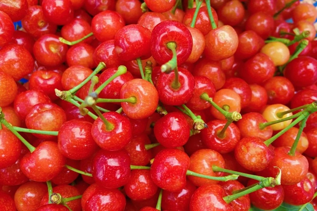 又红又甜！泸县樱桃采摘地图出炉，赶紧约起(图21)