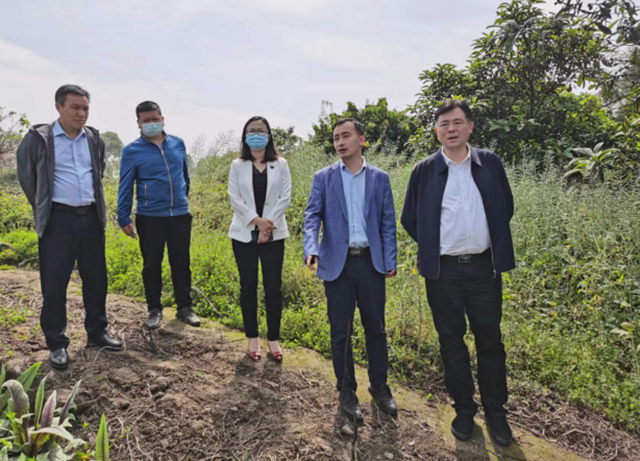 泸州市口岸物流办党组书记、主任李智带队调研合江县现代物流业发展工作(图4)