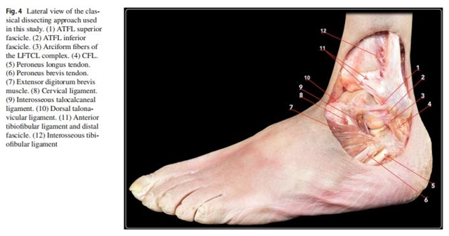 西南医大中医院：十年磨一剑的青年博士后，怎一个“帅”字了得！(图6)