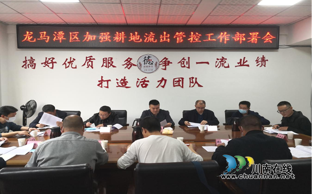 龙马潭区积极部署“三调”后耕地流出管控工作(图1)