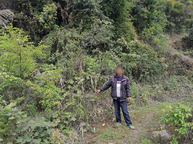 叙永：豹猫剥皮，画眉售卖，警方蹲守9小时抓获狩猎男子！(图2)