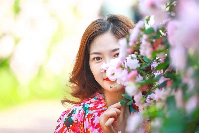 枫叶、蔷薇、三角梅、郁金香......这是热情绚烂的四月泸州(图12) 枫叶、蔷薇、三角梅、郁金香......这是热情绚烂的四月泸州(图12)