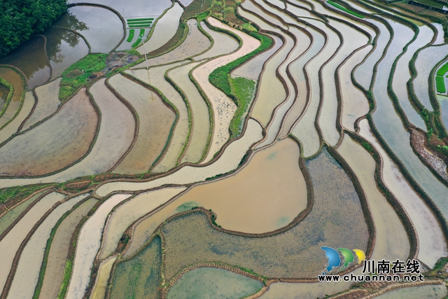  泸县太伏镇：万亩梯田春耕美如画(图1)