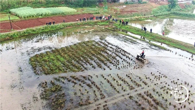 春到三江耕种忙 | 农业机械化为春耕“保驾护航”(图1)