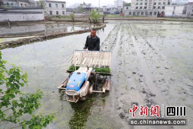 春到三江耕种忙 | 农业机械化为春耕“保驾护航”(图4)