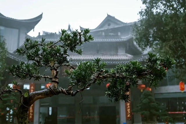 中国沈酒获得又一项市级荣誉！(图4)