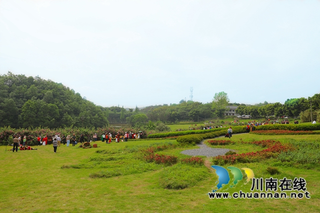 蔷薇墙、月季园……江阳区华阳街道西岸美景等你来打卡！(图2)