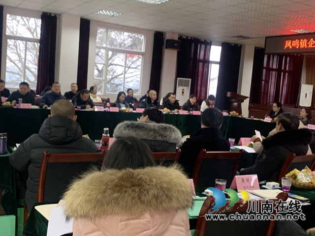 合江县凤鸣镇：“统战+”模式提高基层统战贡献率(图3)