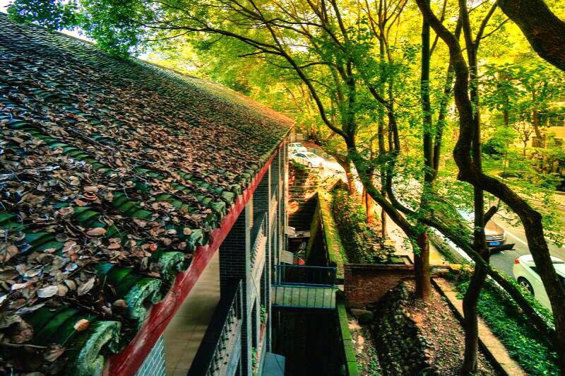 泸州高中公开考核招聘教师(图7)