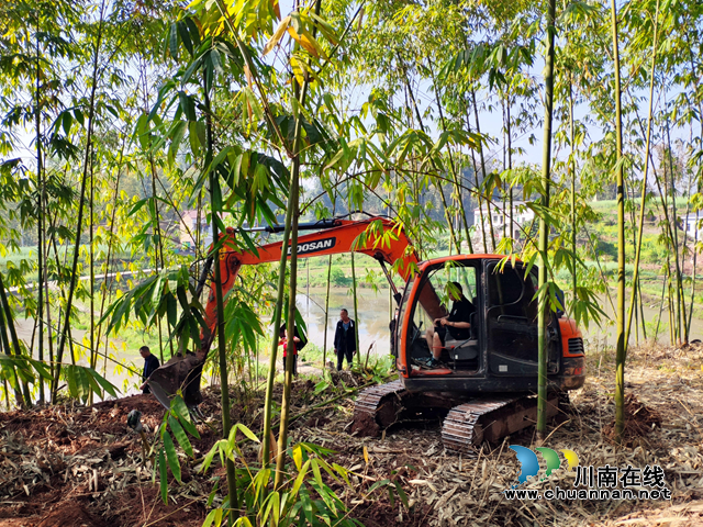 宜宾南溪区长兴镇:盘活竹资源,做好竹文章(图1) 宜宾南溪区长兴镇:盘活竹资源,做好竹文章(图1)
