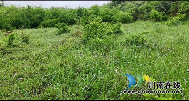 古蔺县石宝镇乡贤李昭勇：出资修路  义不容辞(图1)