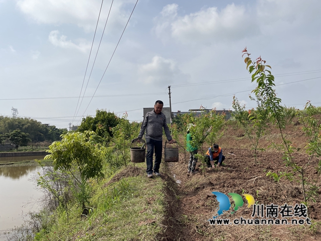 泸县云龙镇:乡贤助力粮油稳产增产(图2) 泸县云龙镇:乡贤助力粮油稳产增产(图2)