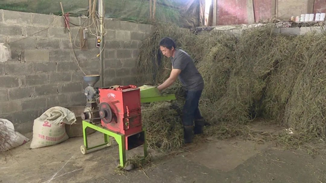 值得推广!宜宾有家“母牛银行”,1户农民可贷5头母牛!(图5) 值得推广!宜宾有家“母牛银行”,1户农民可贷5头母牛!(图5)