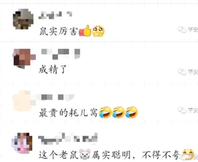 任性！用现金筑房，“一只耳”豪宅被警方拆除(图5)