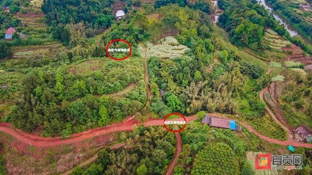 自贡83岁老人失足坠崖，坚持三天三夜，奇迹生还！(图3)