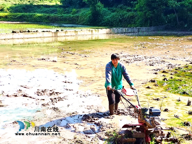 纳溪上马镇:高标准改造农田,让农民笑开颜(图1) 纳溪上马镇:高标准改造农田,让农民笑开颜(图1)