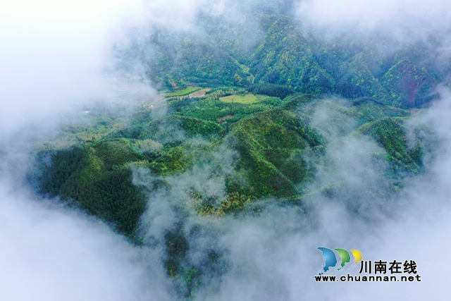 古蔺大寨苗族乡：返乡“网红”带你看苗乡“蝶变”(图3)