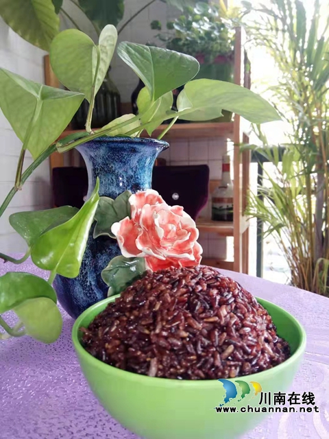 泸县云龙镇：特色紫米产业“三步”铺就富民增收“金路子”(图1)