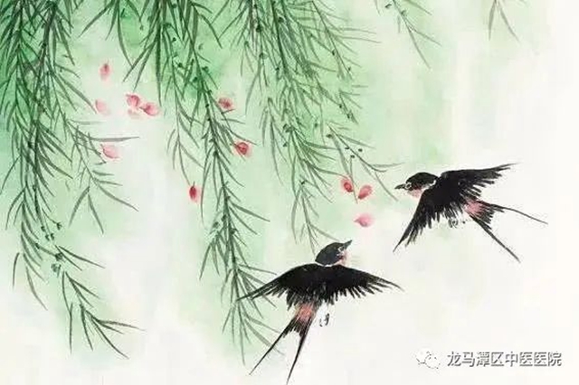【谷雨养生】重在“三点”，龙马中医敲黑板！(图2)