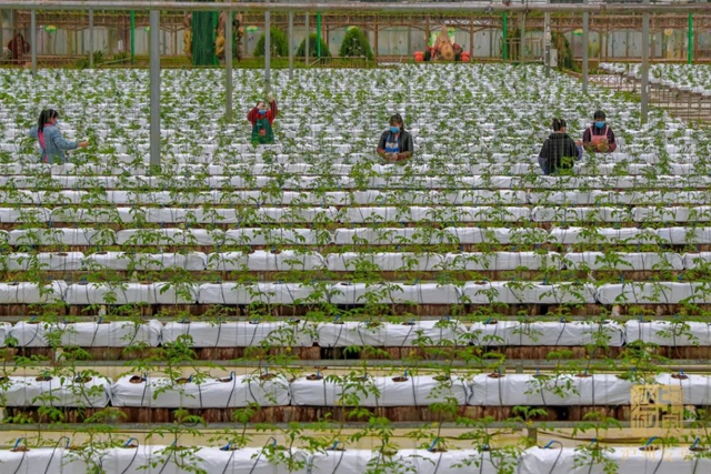 548.7亿元!泸州一季度GDP同比增长5.7%(图3) 548.7亿元!泸州一季度GDP同比增长5.7%(图3)