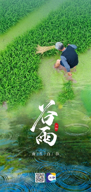 好雨生百谷，谷雨润万物，江阳春播进行时(图1)