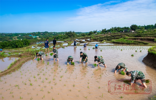 好雨生百谷，谷雨润万物，江阳春播进行时(图9)