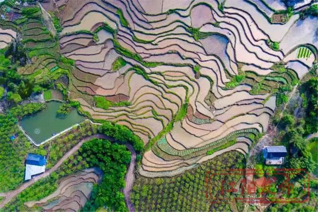 好雨生百谷，谷雨润万物，江阳春播进行时(图11)