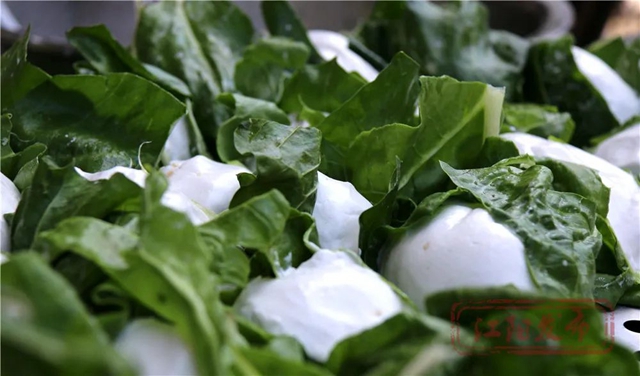 好雨生百谷，谷雨润万物，江阳春播进行时(图13)