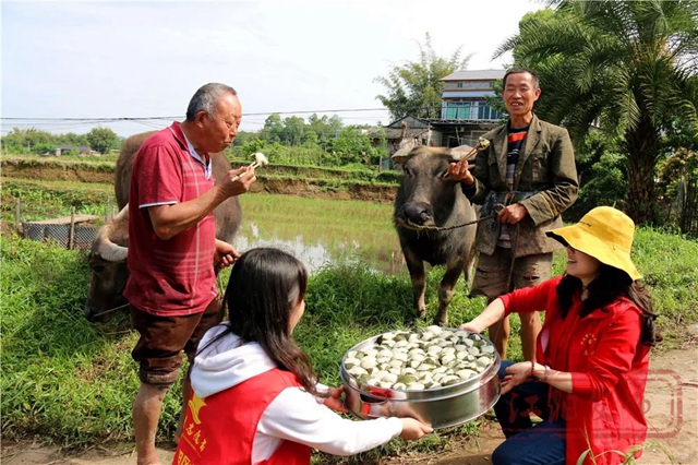 好雨生百谷，谷雨润万物，江阳春播进行时(图14)