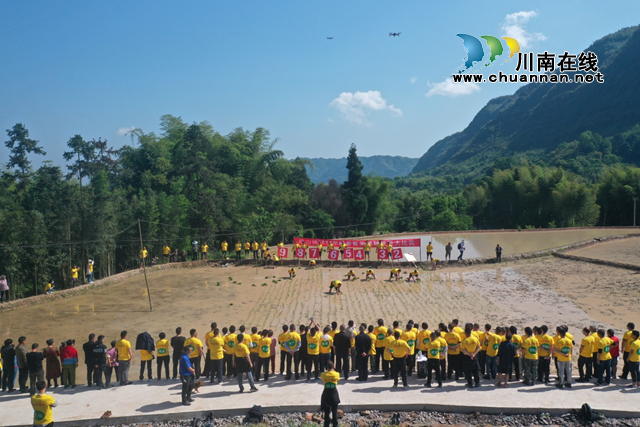 合江县榕山镇：统战人士齐上阵，插秧竞赛种粮忙(图5)
