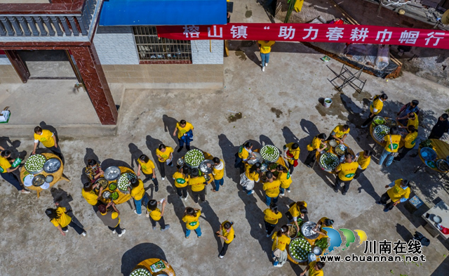 合江县榕山镇：统战人士齐上阵，插秧竞赛种粮忙(图7)