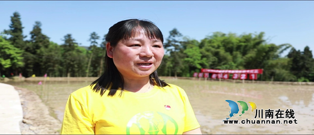 合江县榕山镇：统战人士齐上阵，插秧竞赛种粮忙(图8)