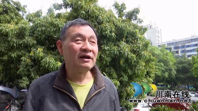 合江:荔枝花开兆丰收,后期管护是关键(图4) 合江:荔枝花开兆丰收,后期管护是关键(图4)