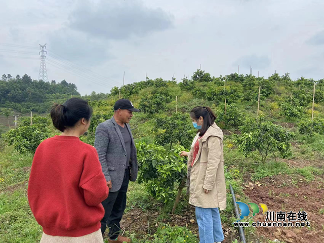 泸县云龙镇扎实开展公益性岗位督查检查工作(图1)