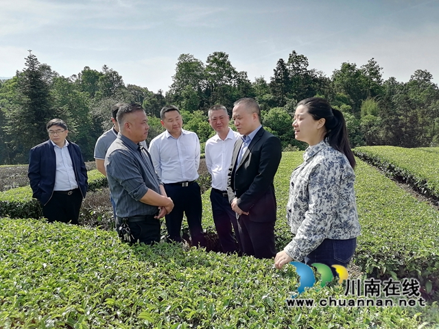 泸州市科技和人才局到叙永调研科技创新工作(图1)