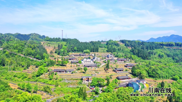 为乡村铸魂,为振兴助力,古蔺非遗传承人杨安平的“至简”人生(图4) 为乡村铸魂,为振兴助力,古蔺非遗传承人杨安平的“至简”人生(图4)