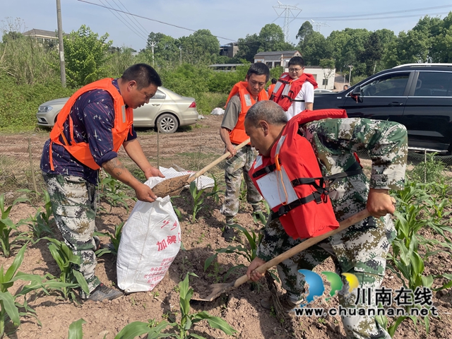 闻“汛”而动！泸县云龙镇开展2022年防汛抗旱应急演练(图3)