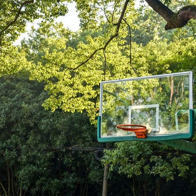 百年香樟成林｜让西南医科大学子念念不忘的“绿荫”情谊(图26)