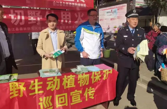 深夜打鸟练“绝技”？合江两男子涉嫌非法狩猎！(图2)