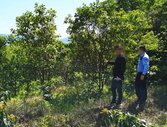 深夜打鸟练“绝技”？合江两男子涉嫌非法狩猎！