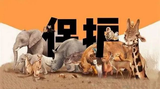深夜打鸟练“绝技”？合江两男子涉嫌非法狩猎！(图8)