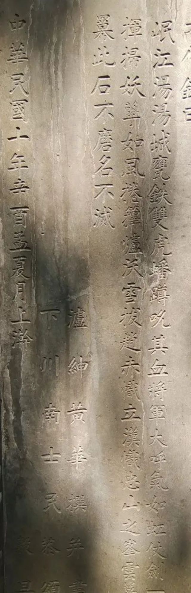 百年香樟成林｜让西南医科大学子念念不忘的“绿荫”情谊(图7)