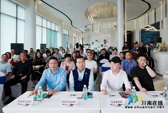 聚焦时代，峰荟未来！泸州市小微企业商会举行“后疫情时代企业经营之功守道”企业研讨会(图2)