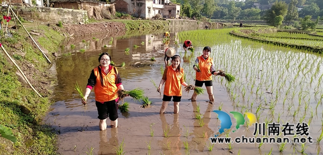 泸县女企业家商会帮扶特困群众春耕(图2) 泸县女企业家商会帮扶特困群众春耕(图2)