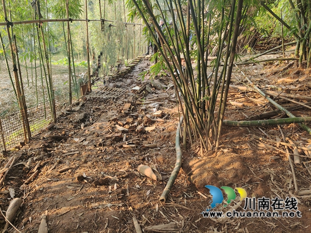 纳溪法院：电动三轮车通行引纠纷，法院巡回审判止纷争(图3)