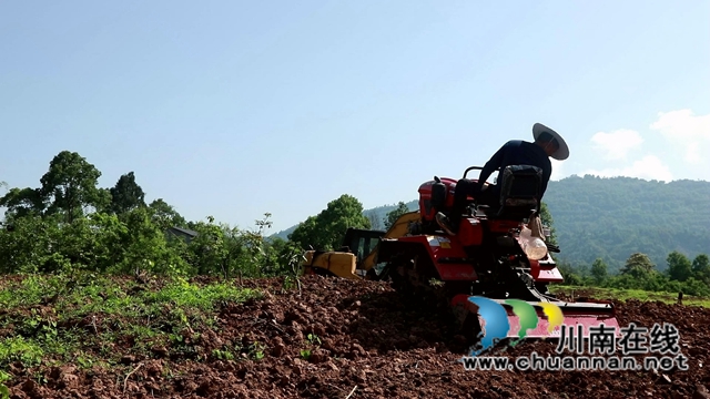 合江县甘雨镇：四月好春光，田间春播忙(图6)