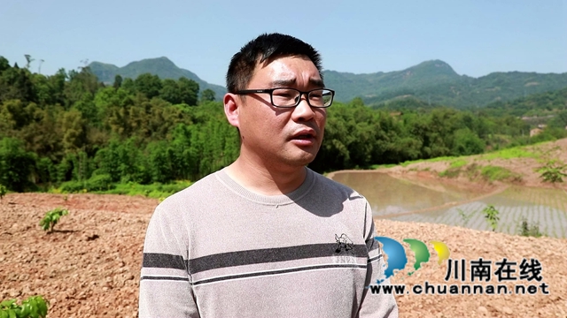 合江县甘雨镇：四月好春光，田间春播忙(图7)