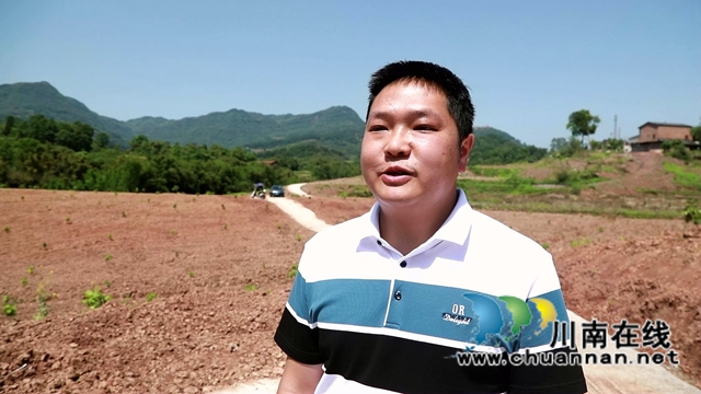 合江县甘雨镇：四月好春光，田间春播忙(图9)