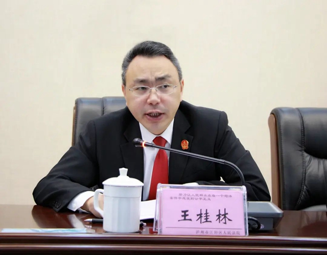 江阳法院召开“专项活动”领导小组工作会(图3)