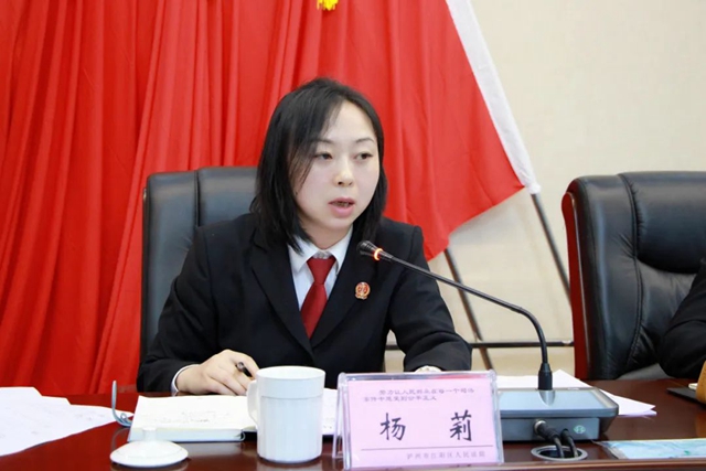 江阳法院召开“专项活动”领导小组工作会(图5)